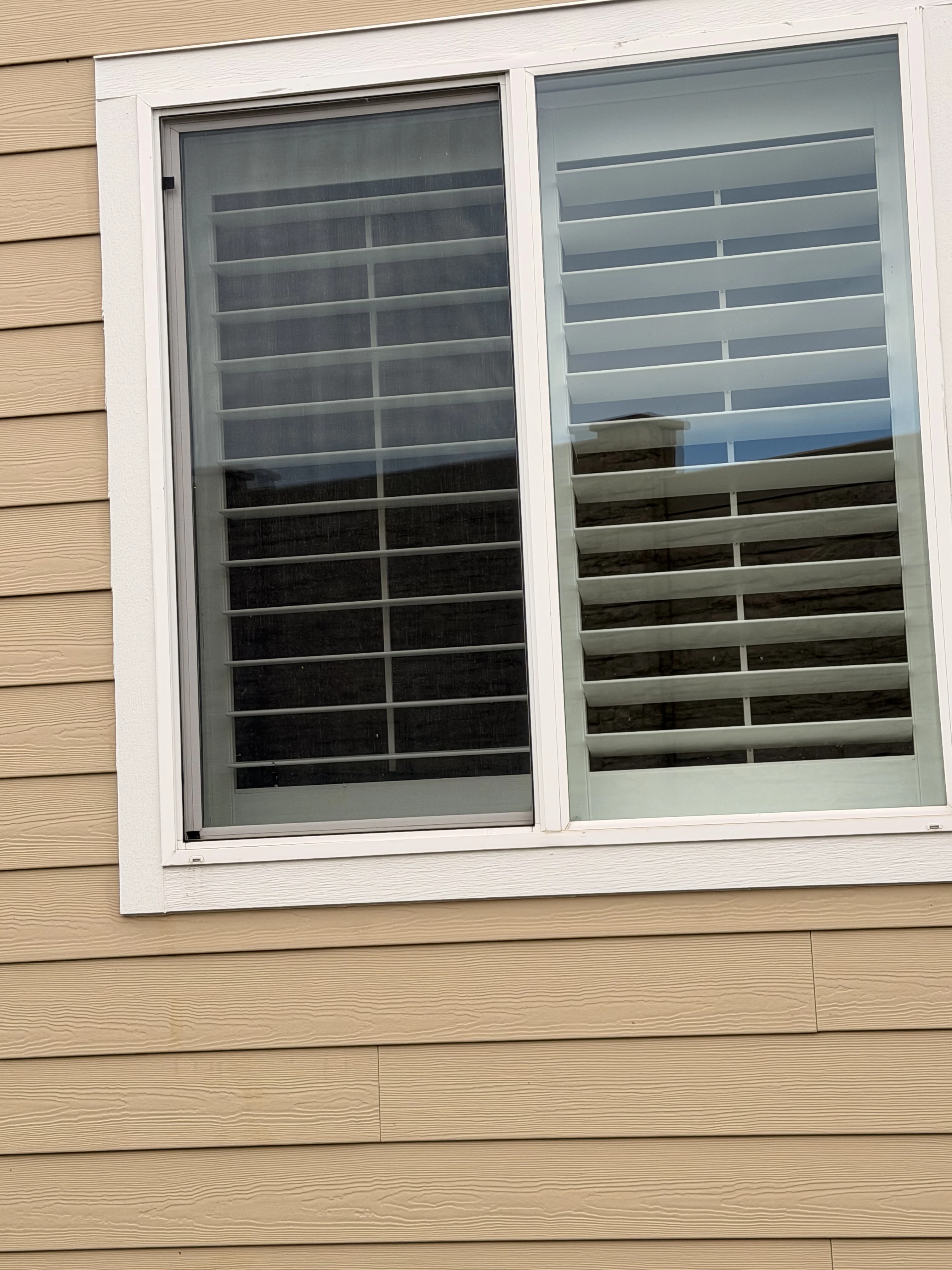 Professional Window Washing