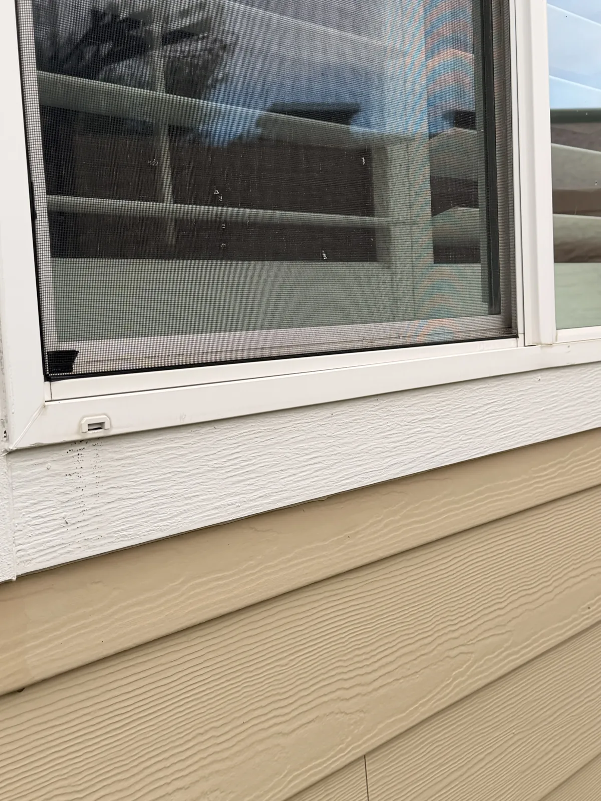 Completed Window Cleaning